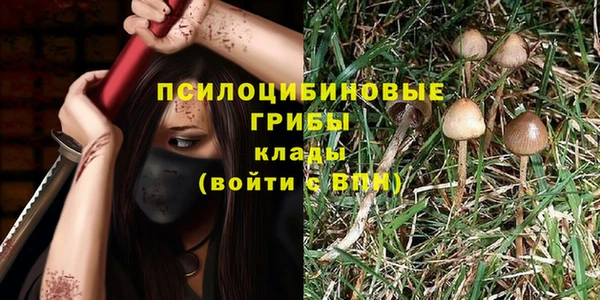 Альфа ПВП Иннополис