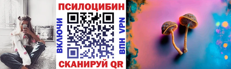 Псилоцибиновые грибы Cubensis Лесной