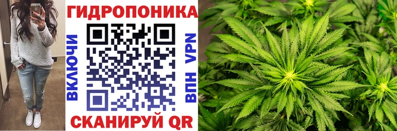 Купить закладки  Лесной  Каннабис конопля 